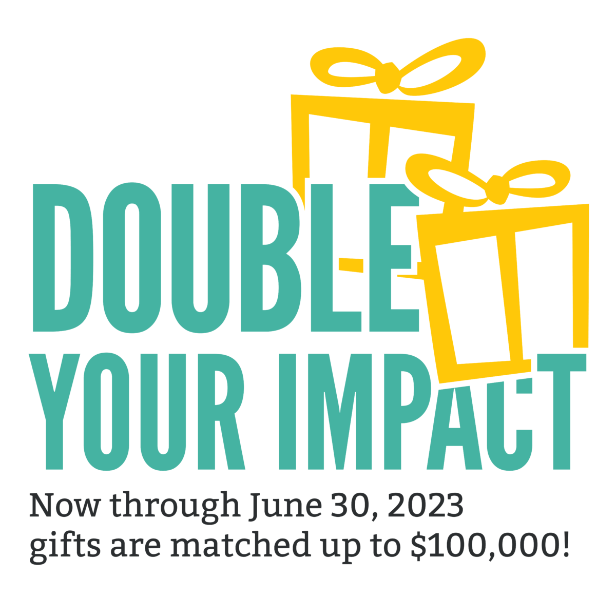 Double Your Impact Now through June 30, 2023 gifts are matched up to $100,000!